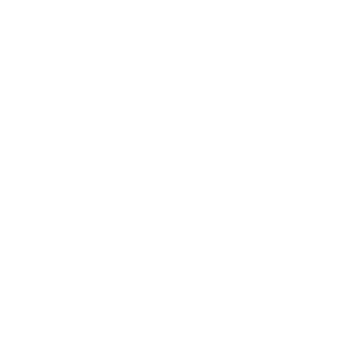 Vision